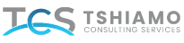 Tshiamo Consulting Services